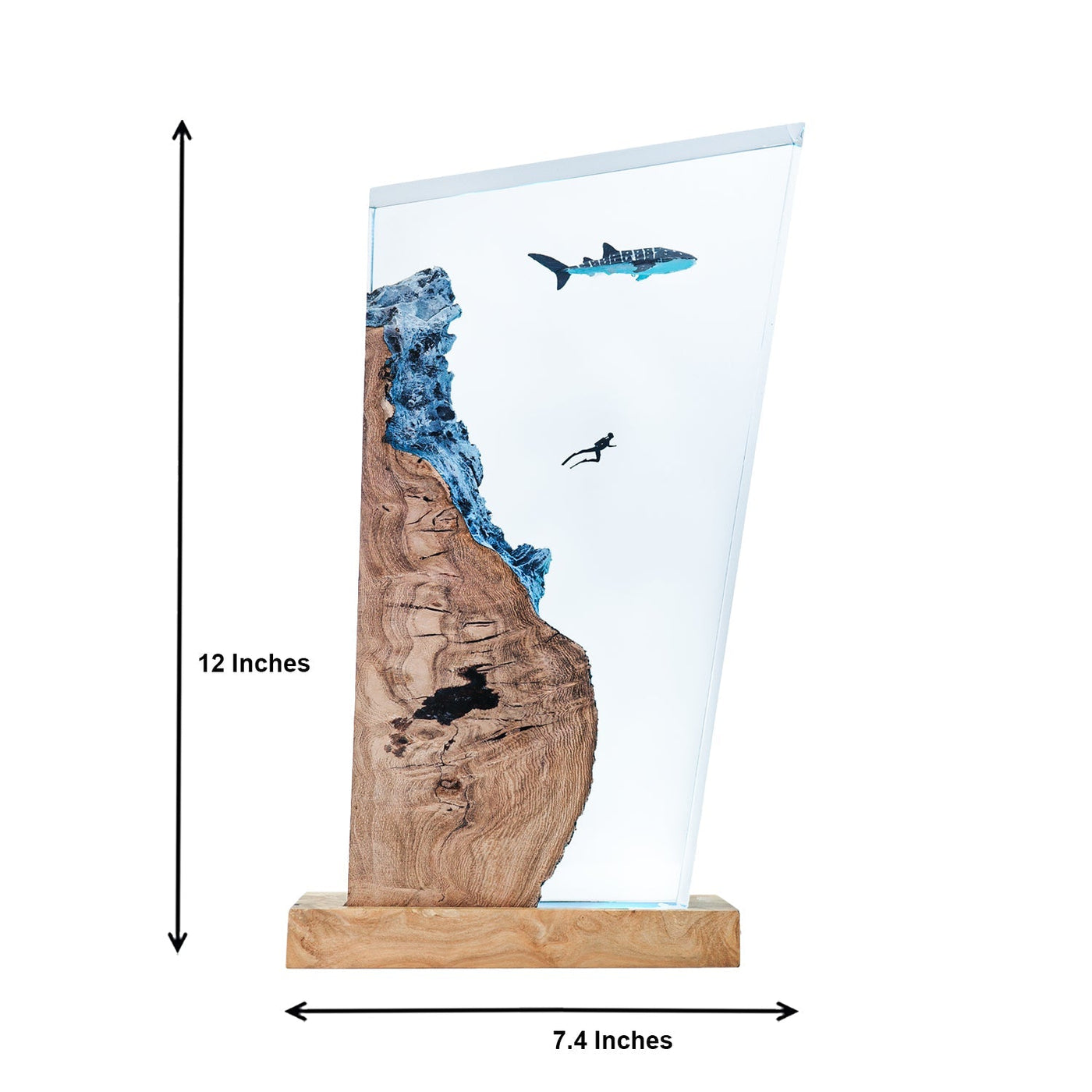 Whale Shark & Diver - High Quality Epoxy Resin Lamp